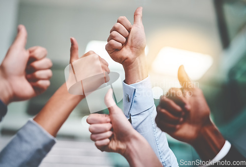 Image of Thumbs up, success and yes with hands of business people in office for agreement, winner and teamwork. Emoji, support and community with group of employees for goals, thank you and motivation