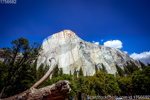 Image of El Capitan, Yosemite national park