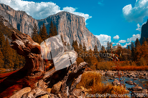 Image of El Capitan, Yosemite national park