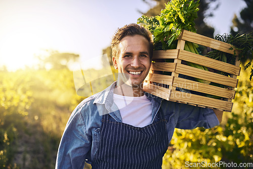 Image of Man, farm and crate with produce in portrait with harvest, success and happiness for agriculture. Male farmer, box and leaves for vegetables, growth and happy in countryside for sustainable business