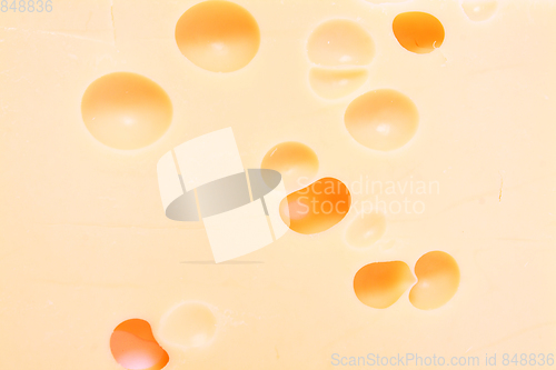 Image of yellow cheese background