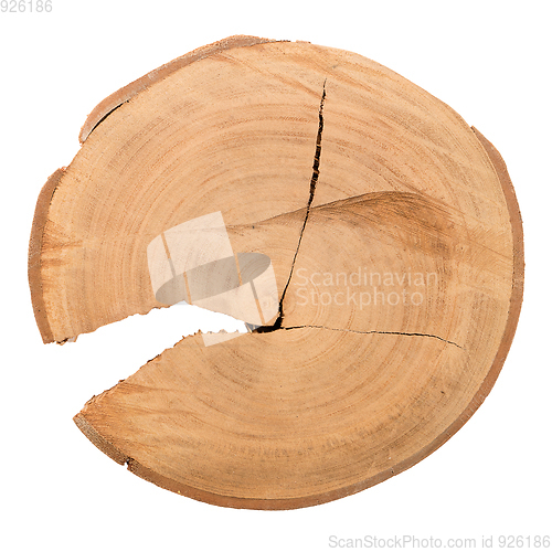 Image of Wood log slice