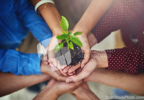 Image of Hands, plant and growth from above with people holding a pile of earth for the sustainability of the environment. Nature, spring and teamwork with a group of friends together for eco responsibility