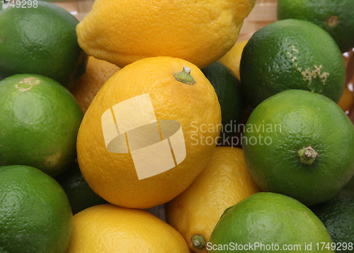 Image of Citruses: lime and lemon