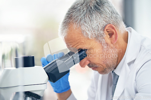 Image of Microscope, science and face of man in laboratory for research, medical analysis and biotechnology. Professor, scientist and microbiology investigation of molecule, dna test or development of vaccine
