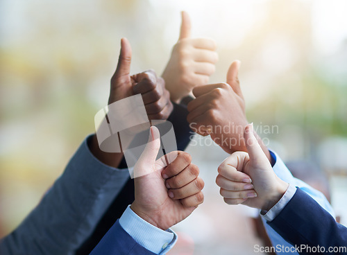 Image of Teamwork, hands and group with thumbs up for success, team building and motivation. Business people, hand gesture and like emoji for agreement, ok or excellence, support or solidarity for cooperation