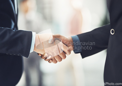 Image of Business people, handshake and meeting in partnership, b2b or deal agreement at the office. Businessman shaking hands for hiring, recruitment or corporate growth in teamwork, welcome or introduction