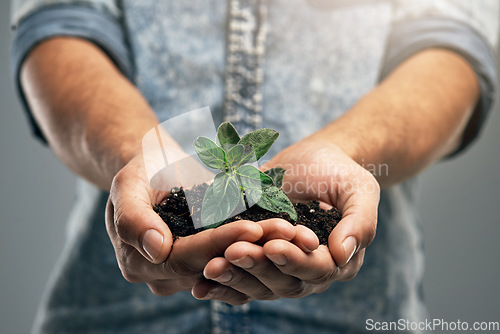 Image of Growth, plant and soil with hands of man for sustainability, future and environment. Earth, hope and support with closeup of male person on studio background for recycling, success and eco friendly