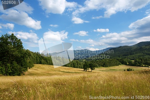 Image of Summer landsscape