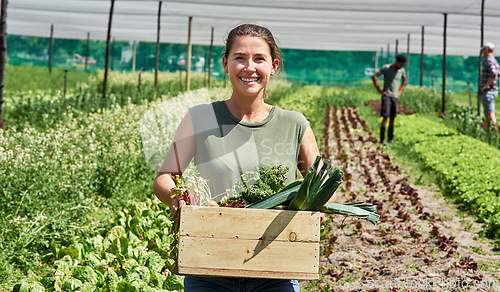 Image of Portrait, agriculture and a woman in a greenhouse on a farm for sustainability in the harvest season. Smile, spring and food with a female farmer carrying a crate of fresh vegetables or produce