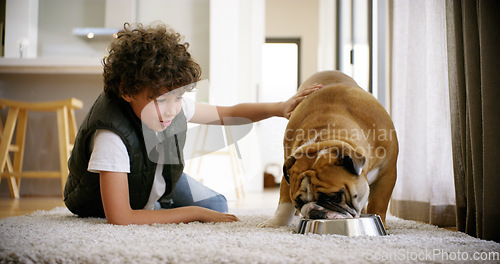 Image of Food, dog and child and feeding in apartment for love, bonding and friends. Animal, happy and pets with young boy and puppy eating on floor of family home for affectionate, responsible and learning