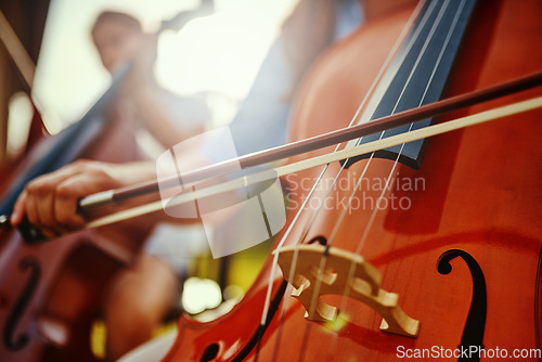 Image of Woman, hand and cello closeup with instrument string and band outdoor playing classical music. Backyard, summer and person with talent and creativity with instruments and acoustic players together