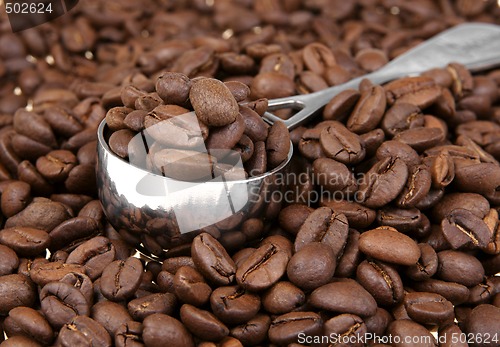 Image of Coffe beans