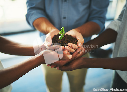 Image of Plant, soil and teamwork with hands of business people for support, earth or environment. Collaboration, growth and investment with closeup of employees for sustainability, partnership or community