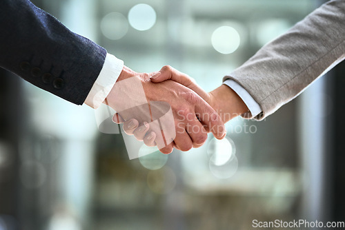 Image of Business man, partner and handshake in meeting, corporate welcome and introduction or lawyer agreement and success. Professional people or clients shaking hands for night b2b, interview or legal deal