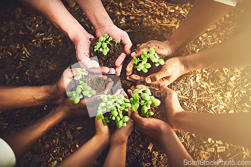 Image of Closeup, top view and hands with soil, plants and agriculture with growth, environment and nature. Zoom, people and earth with sustainability, recycle and leave with eco friendly, natural and farm