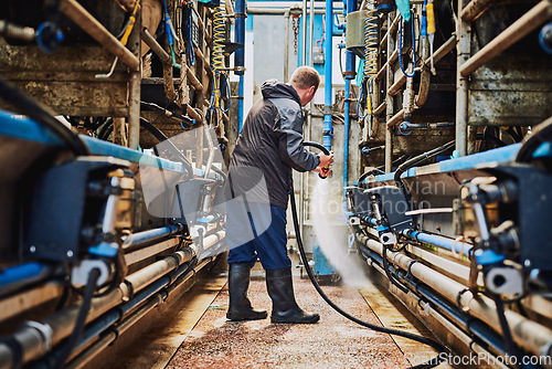 Image of Man, machine or farmer cleaning in factory hosing off a dirty or messy floor after dairy milk production. Cleaner, farming industry or worker working with water hose for healthy warehouse machinery