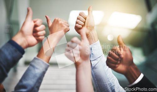 Image of Thumbs up, winner and support with hands of business people in office for agreement, yes and teamwork like. Emoji, success and community with group of employees for goals, thank you and motivation