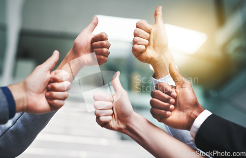 Image of Thumbs up, agreement and hands with like of business people in office for success, yes and teamwork. Emoji, support and community with group of employees for goals, thank you and motivation