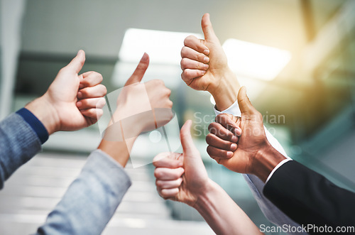 Image of Thumbs up, success and teamwork with hands of business people in office for agreement, like and yes. Emoji, support and community with group of employees for goals, thank you and motivation