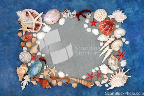 Image of Sea Shell Design Abstract Background Border 