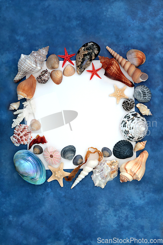 Image of Decorative Sea Shell Border with Assortment of Shells