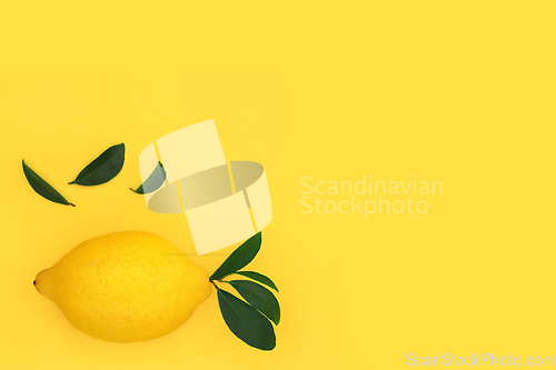 Image of Lemon Citrus Fruit Health Food for Losing Weight