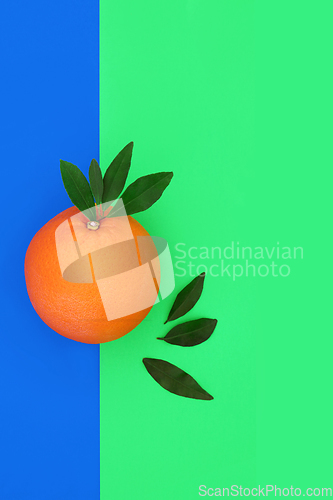 Image of Orange Citrus Fruit Health Food Abstract Background