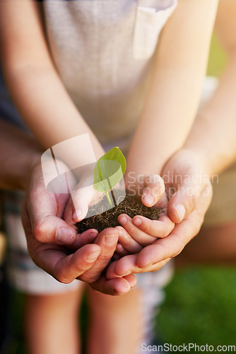 Image of Environment, people holding a plant growing in soil and outdoors with lens flare. Ecology or sustainability, eco friendly or growth and hands of father with child hold green seedling with family