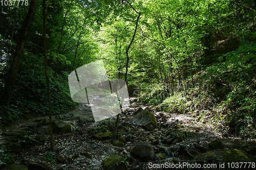 Image of Rastenbach Gorge, South Tyrol, Italy