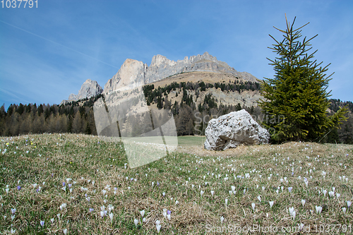 Image of Rosengarten Group, South Tyrol, Italy