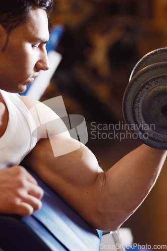 Image of Gym focus, arm and fitness man doing dumbbell workout, muscle building exercise or training. Health mindset, power and bodybuilder person working on weightlifting, bicep curling or sports performance