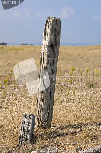 Image of Post on a beach 