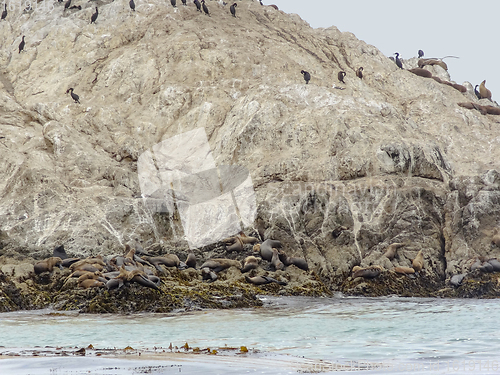 Image of Bird Rock in California