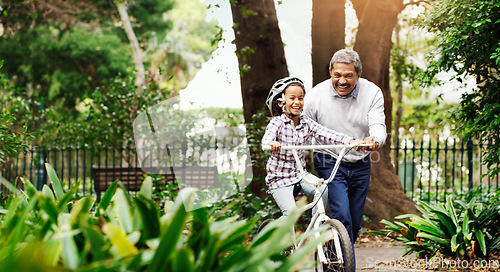 Image of Bicycle, girl and grandfather in a park, teaching and happiness with fun, bonding and loving together. Old man, granddaughter and grandad with a bike, outdoor and riding with guidance, help and joy