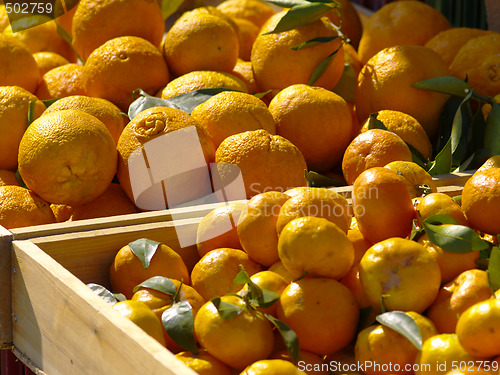 Image of tangerines and oranges