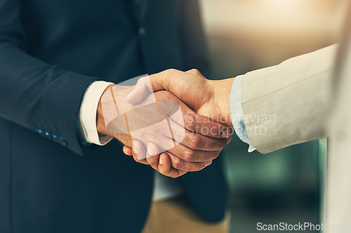 Image of Handshake, agreement and business men shaking hands in office for partnership, recruitment and thank you. Corporate, collaboration and closeup of male workers for onboarding, support and teamwork