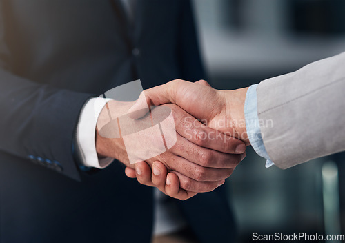 Image of Handshake, hiring and hands of business men in office for partnership, recruitment deal and thank you. Corporate, collaboration and male workers shaking hands for onboarding, agreement and teamwork