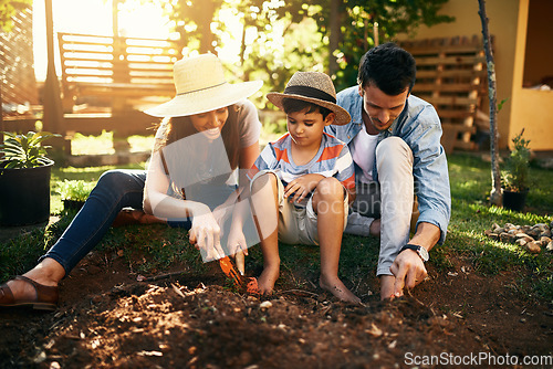 Image of Family, soil or learning in garden for sustainability, agriculture care or farming development in backyard. Growth, education or parents of boy child with sand in nature planting or teaching a kid