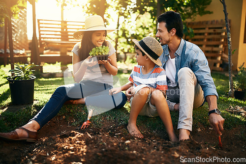Image of Family, plants or learning in garden for sustainability, agriculture care or farming development in backyard. Growth, education or parents of boy child with sand in nature planting or teaching a kid