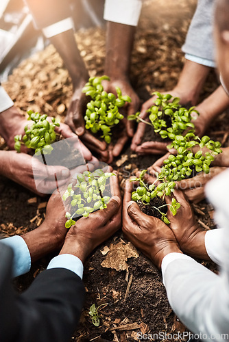 Image of Plants, hands and teamwork of people gardening, agriculture or sustainable startup, group support and business growth. Palm, plant and person in circle of nonprofit, sustainability and soil on ground