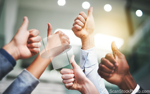 Image of Thumbs up, success and winner with hands of business people in office for agreement, yes and teamwork. Emoji, support and community with group of employees for goals, thank you and motivation