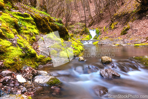 Image of rapids in Borzesti gorges