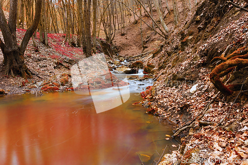 Image of wild mountain stream in autumn