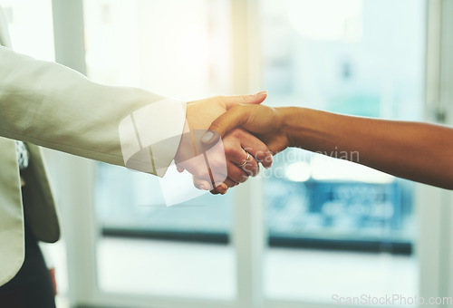 Image of Handshake, success and hands of business people in office for onboarding, collaboration or agreement. Corporate, teamwork and and women shaking hand for thank you, welcome and hiring for recruitment