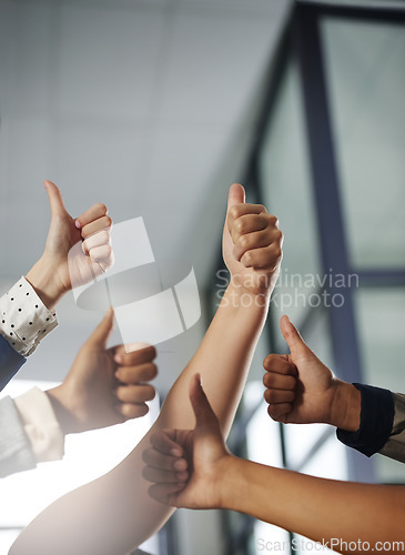 Image of Business people, hands or thumbs up in agreement for winning, good job or teamwork success together. Hand of group of employees showing thumb up emoji, yes sign or like in team support in office