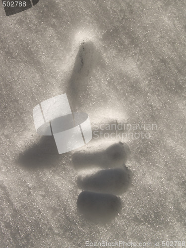 Image of Hand giving thumbs up in the snow showing success