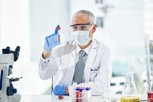 Image of Science, vaccine and doctor with blood in a test tube with results of medical exam in a lab or laboratory. Medicine, research and healthcare man or chemistry professional with solution for covid