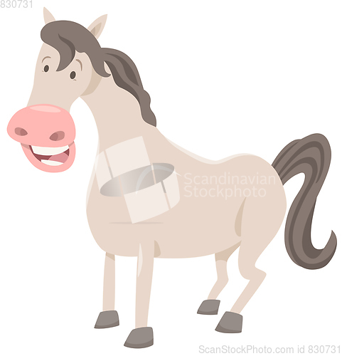 Image of funny horse farm animal