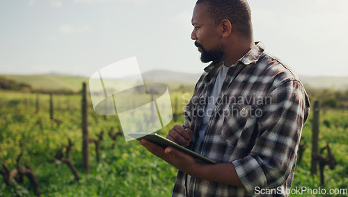 Image of Farm, tablet and a black man on a field for agriculture, sustainability or crop research during spring. Internet, innovation and a male farmer standing in the countryside for the harvest season